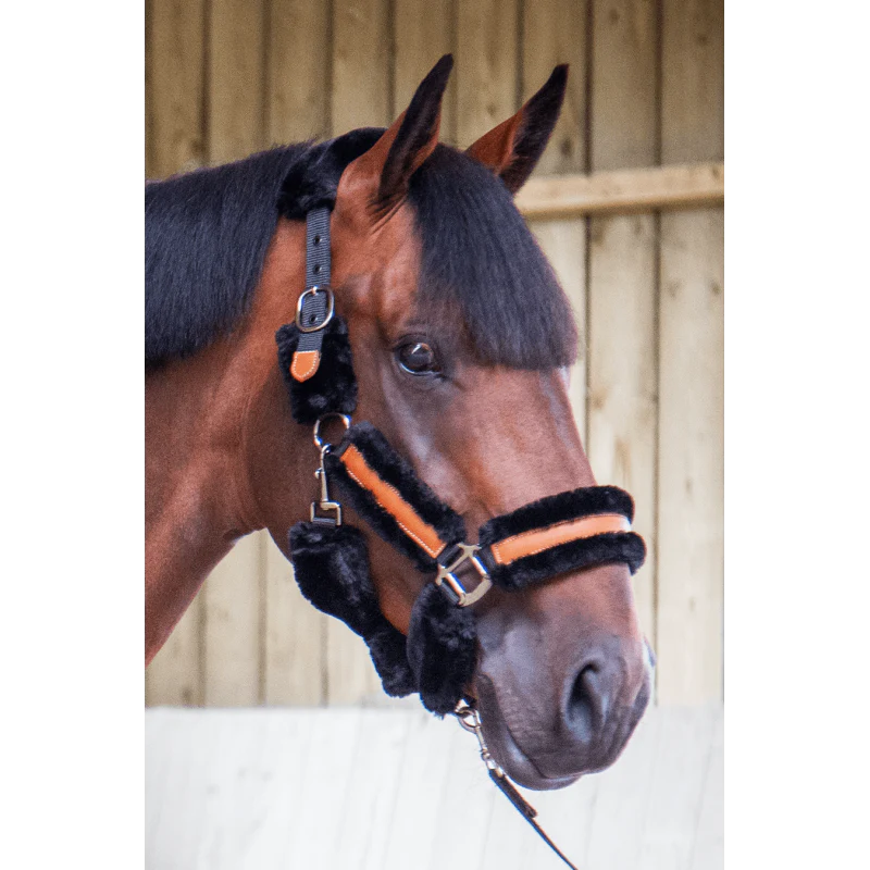 Licol Pénélope Leprevost "Soft" - Noir & Beige – Image 3