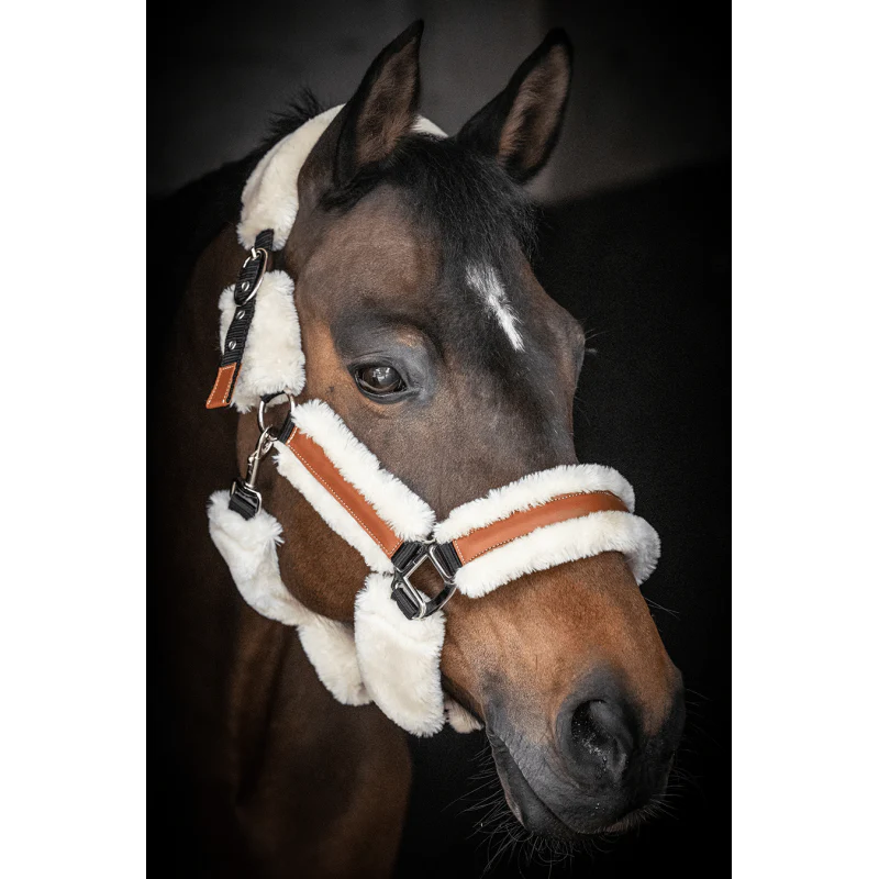 Licol Pénélope Leprevost "Soft" - Noir & Beige – Image 2