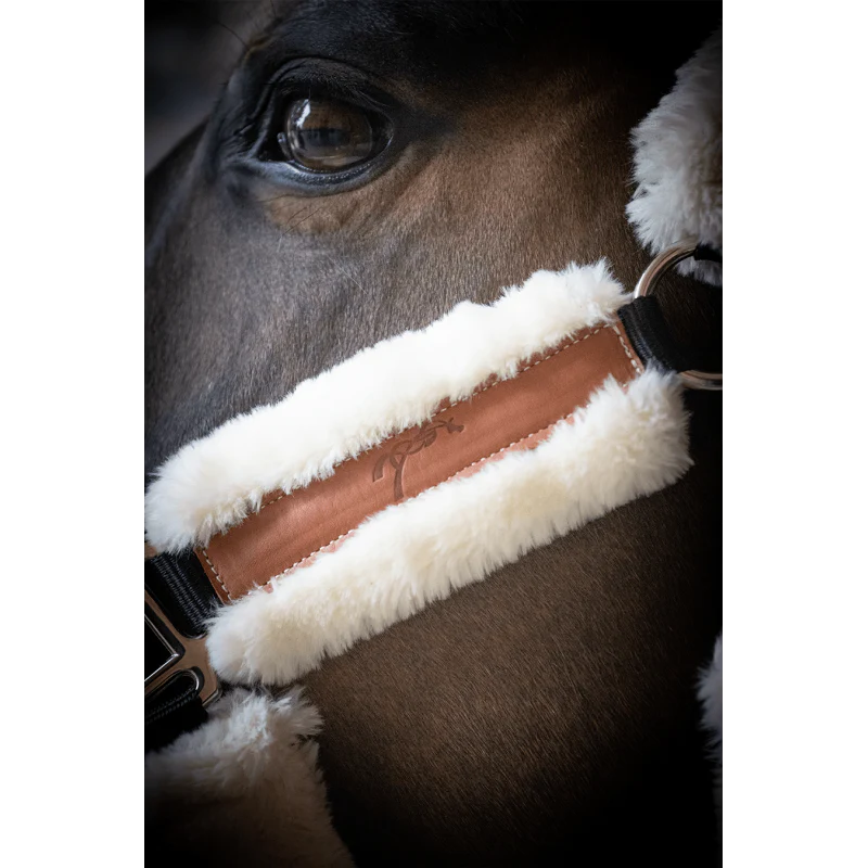 Licol Pénélope Leprevost "Soft" - Noir & Beige